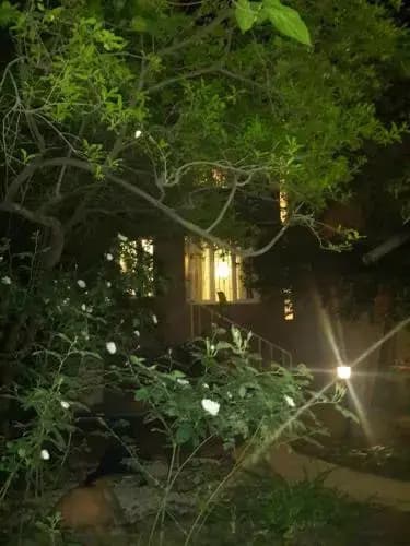 Garden-House in downtown. - photo 2
