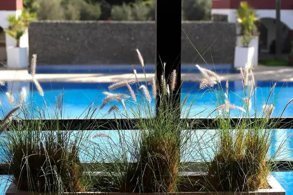 Targafit Hotel & Hammam - photo 9