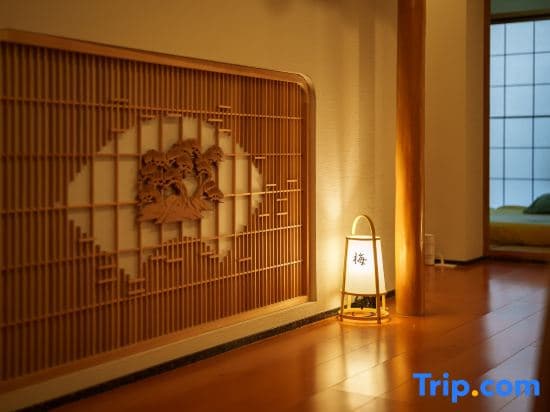 R Riverside Dotonbori Namba Apartment - photo 2