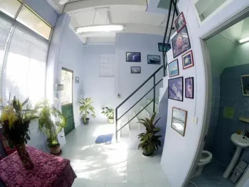 Dive Den Guesthouse - photo 12