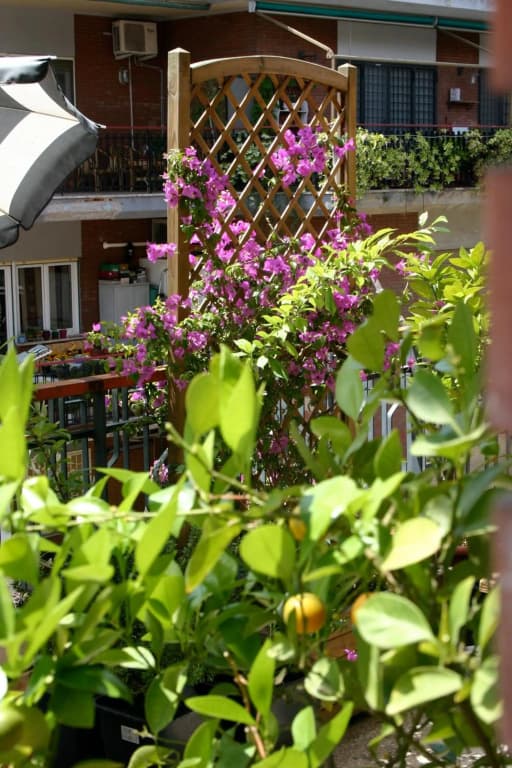 Le Fate Apartments - photo 8