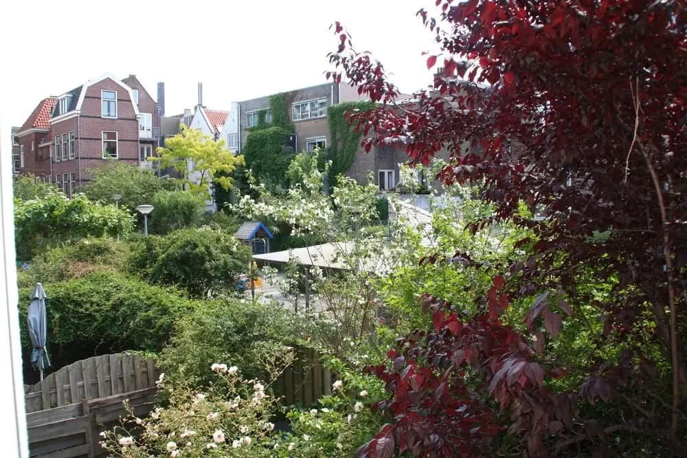 B&B Jordaan - photo 10