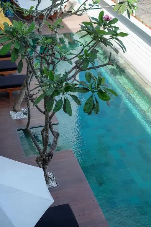 Dip & Doze Boutique Hostel - photo 5
