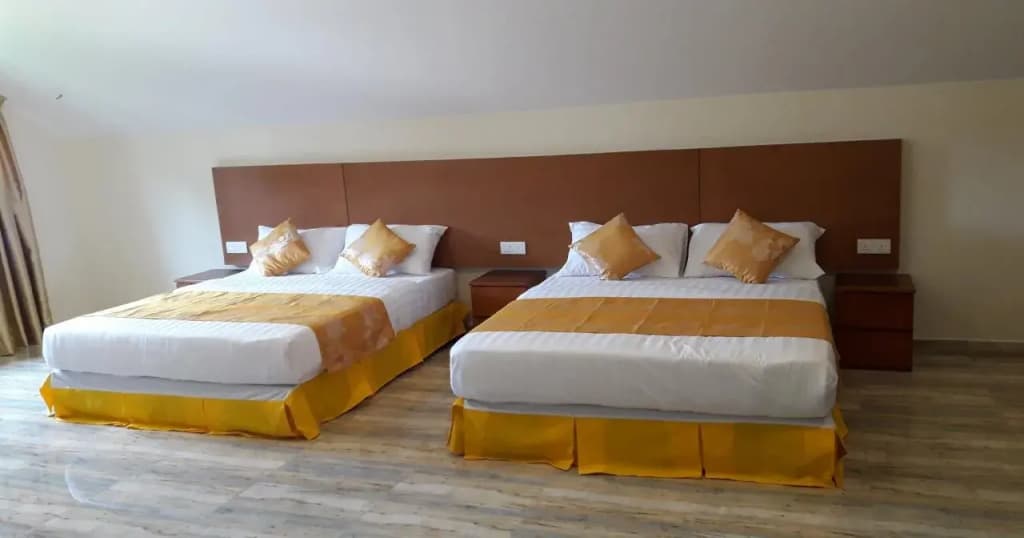 Tulip Hotel Apartment - photo 5