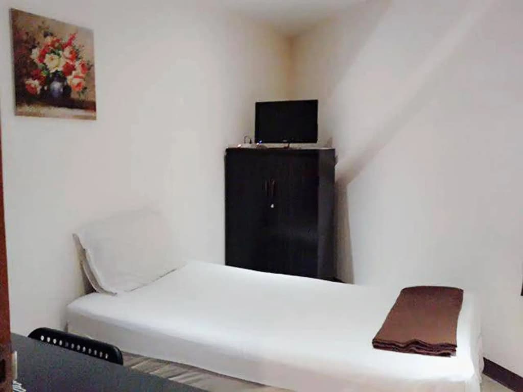 Rainforest Guest House - photo 4