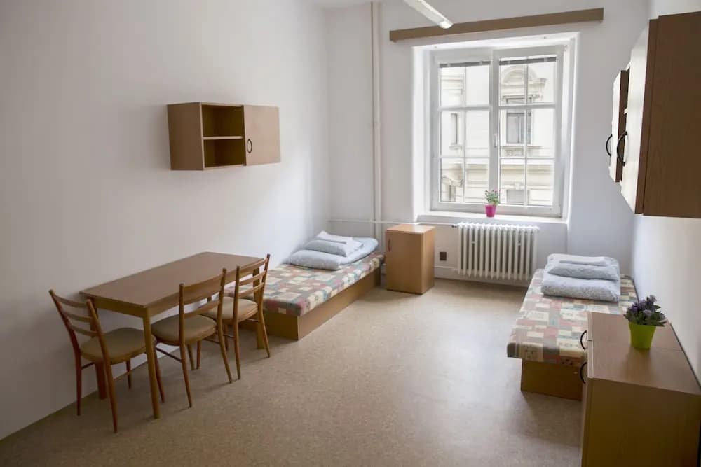 Dizzy Daisy Hostel - photo 2