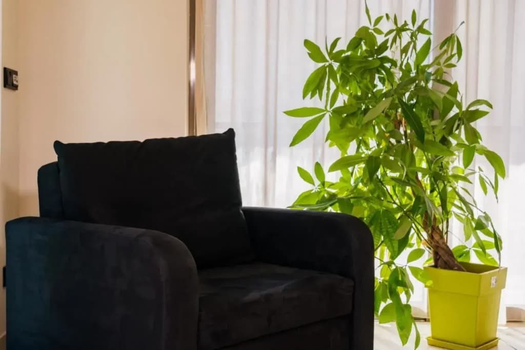 Athens City Center Apartments - photo 11