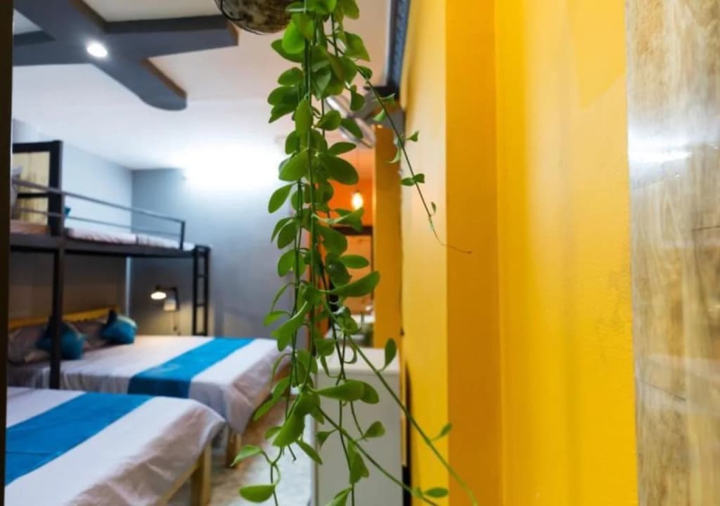 GoCo Hostel - photo 10
