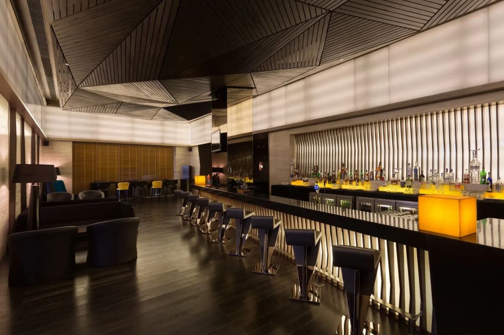 Holiday Inn New Delhi Aerocity by IHG - photo 16