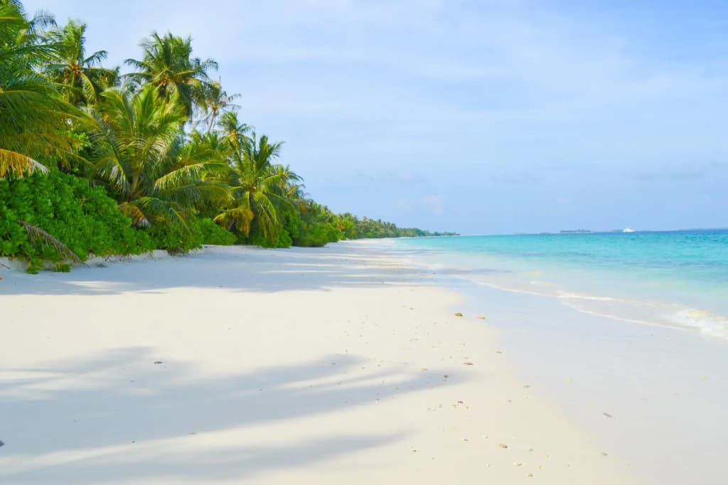 TME Retreats Dhigurah - photo 23