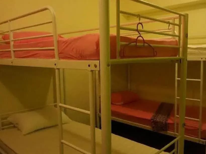 Best Bunk Beds Lodge - photo 4