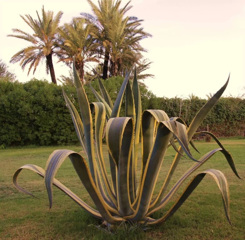 Villa Warhol - photo 14
