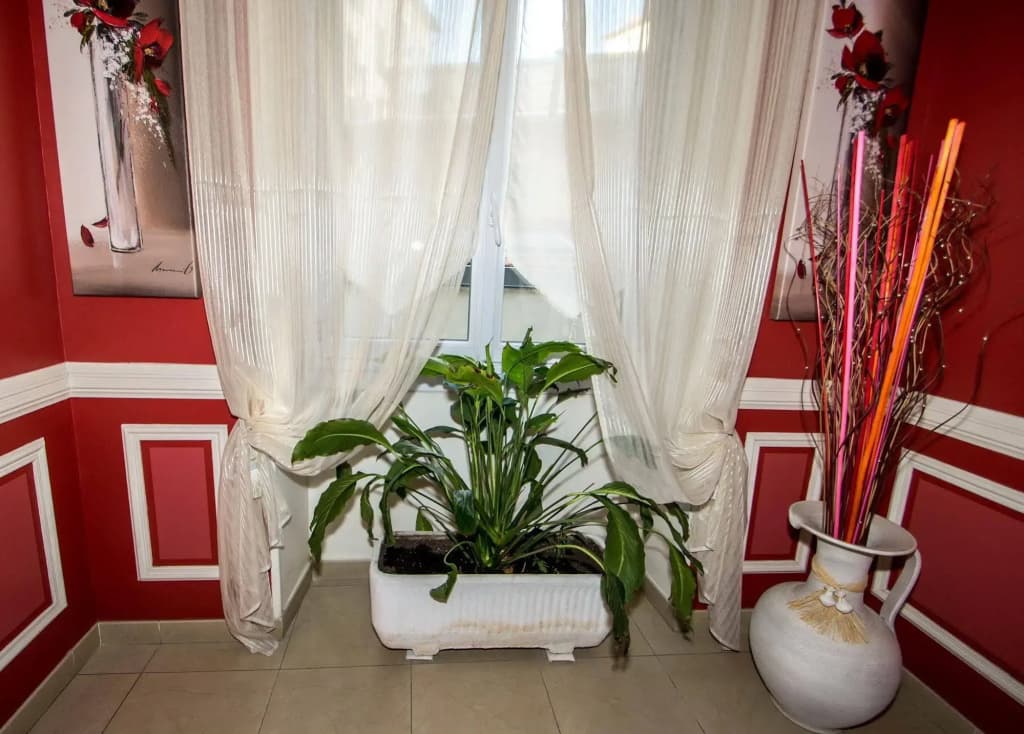 Hôtel Parisien - photo 16