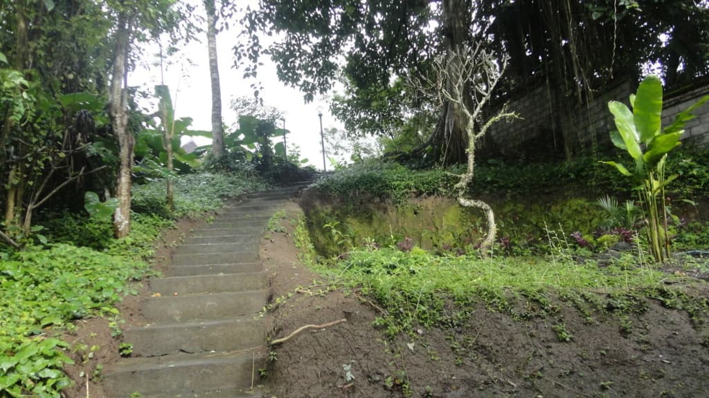 Uma Bian Guest House Ubud - photo 3