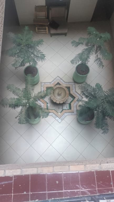 Hôtel de la paix - photo 6