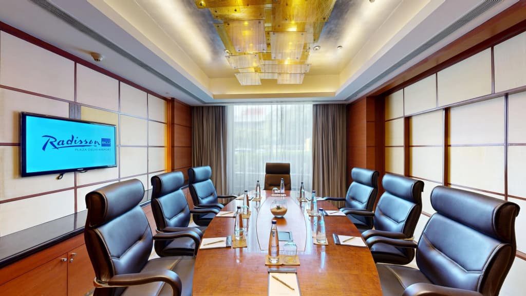 Radisson Blu Plaza Delhi Airport - photo 41