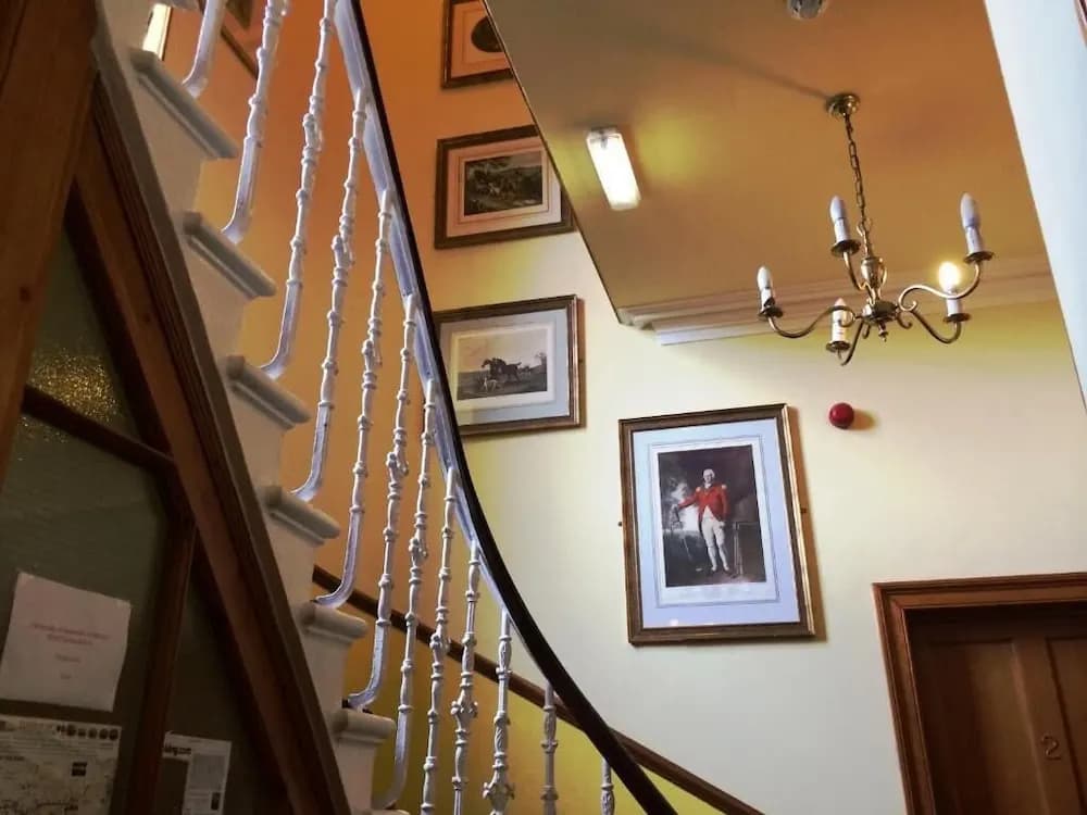 Bellevue Guest House - photo 10
