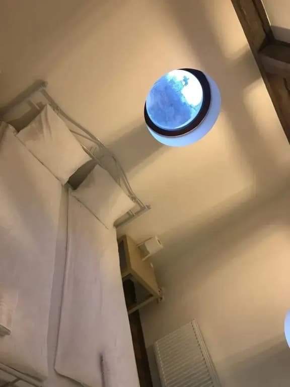 Blahnikova Apartments - photo 4