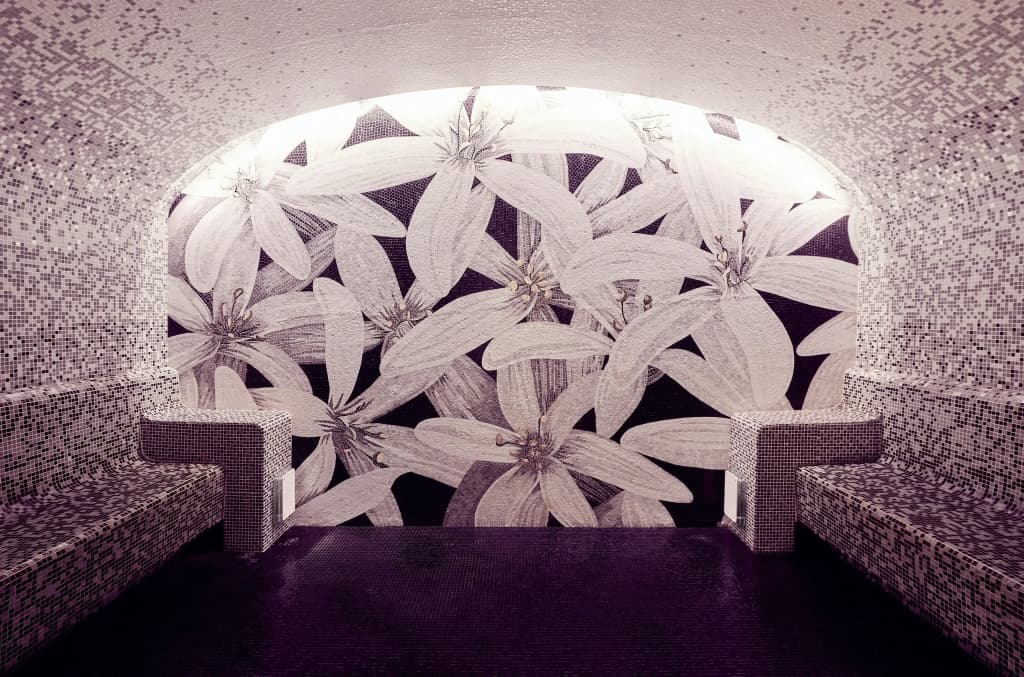 Grand Hotel du Palais Royal - photo 19