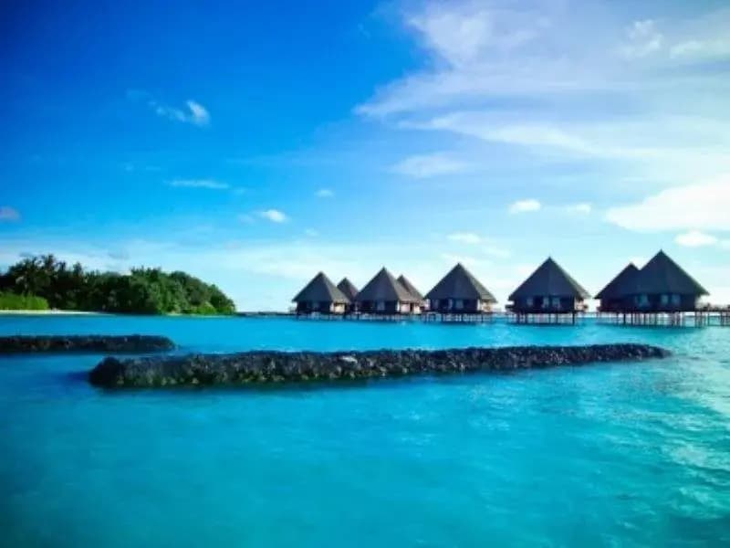 Velidhu Island Resort - photo 11