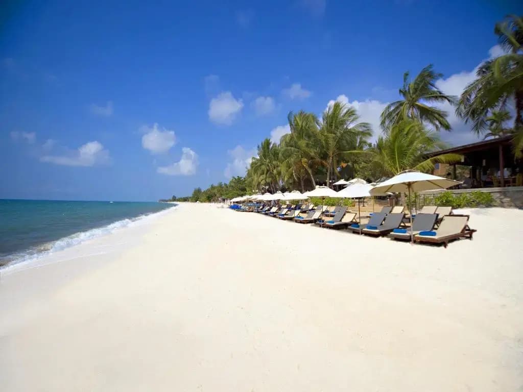 Thai House Beach Resort - photo 18