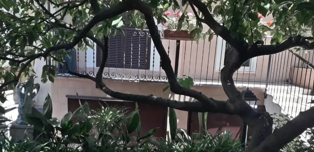 Gioia B&B - photo 6