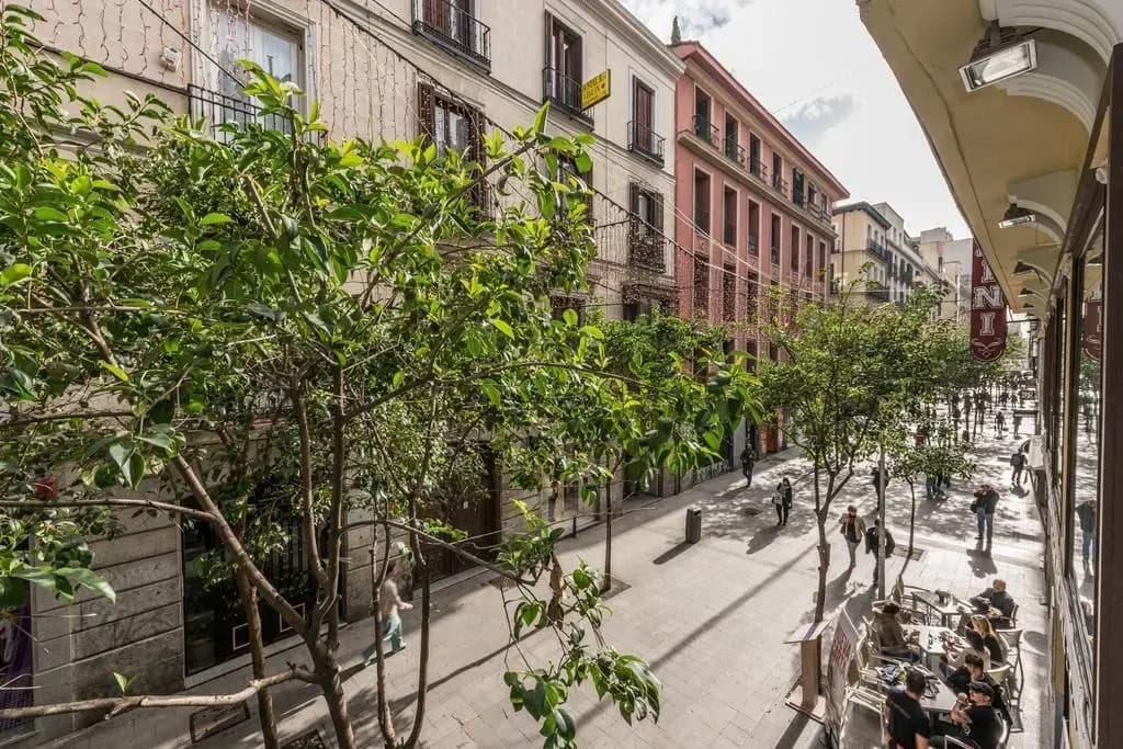 Village Chueca Apartments - photo 10