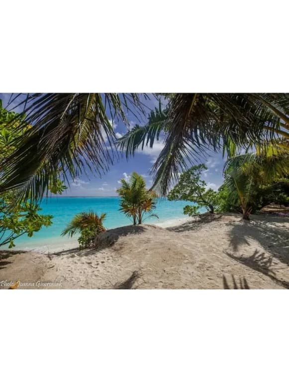 Thoddoo beach view Maldives - photo 14