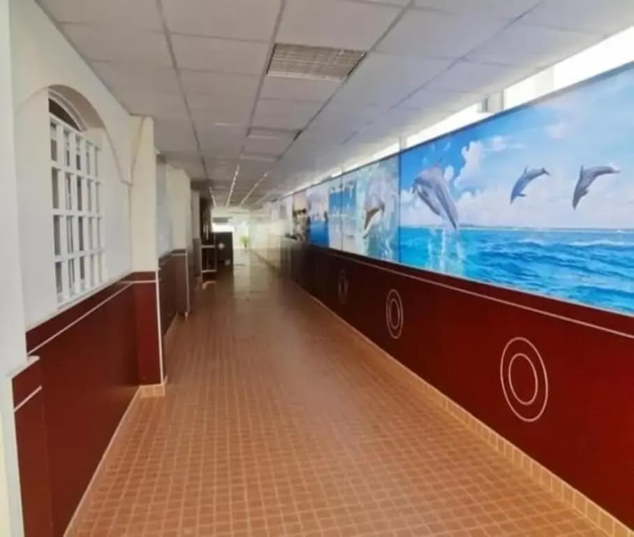 Dolphin Hotel - photo 9