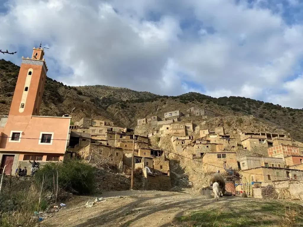Amlougui House - photo 30