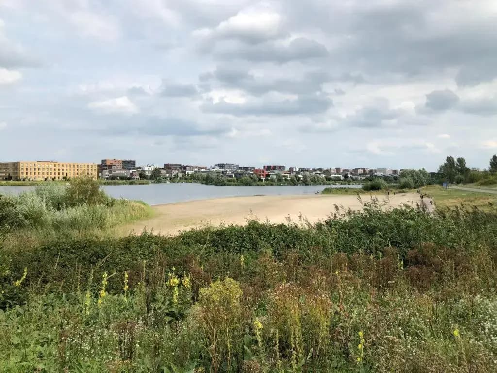 B&B De Zwanebloem - photo 8