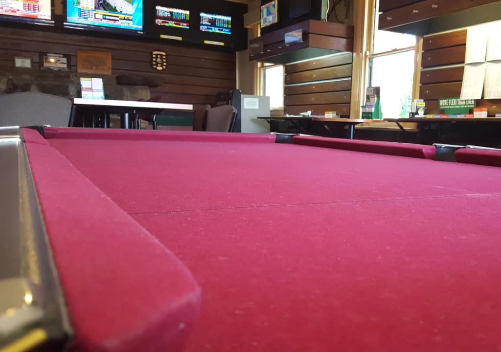 Wisemans Inn Hotel - photo 15
