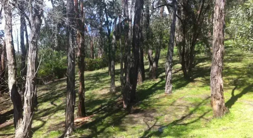 Summer House - photo 6