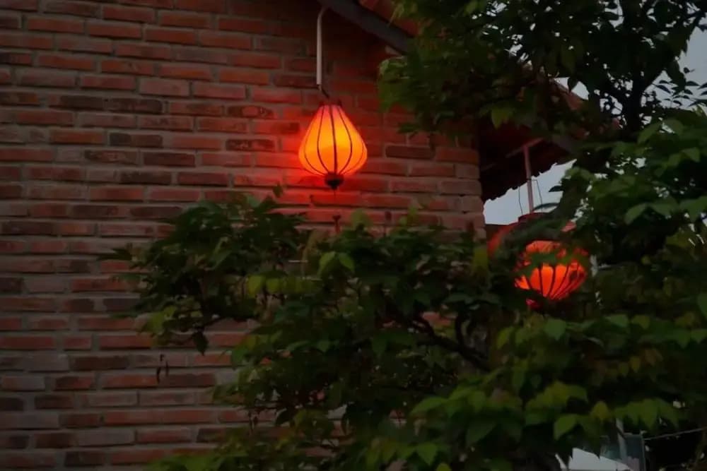 The Grass Vy Homestay - photo 4