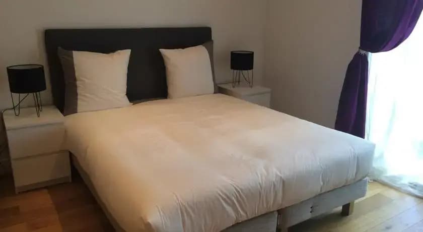 De France Apartment - photo 9