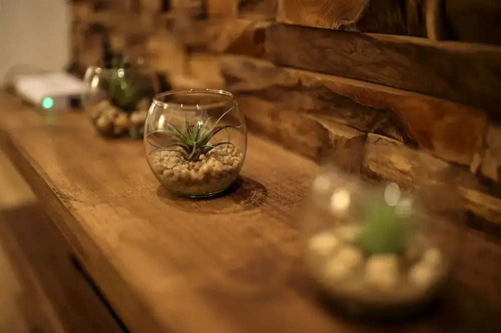 Satoie House - photo 12