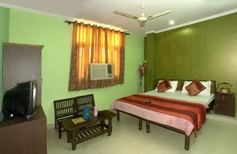 Hotel Pal Palace - photo 4