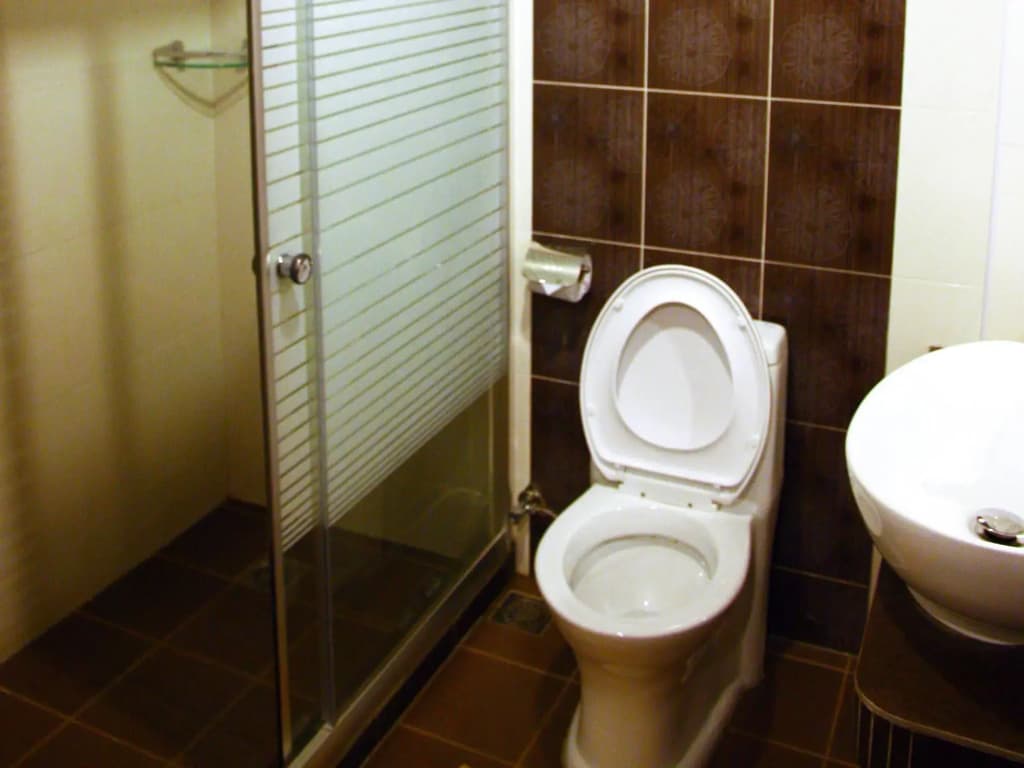 Royal Hotel - photo 9