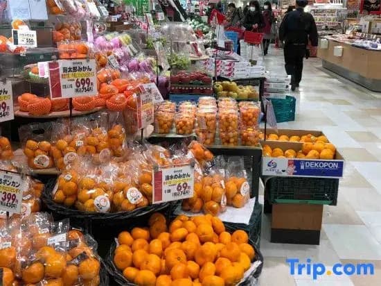 Kinshicho 1001 - photo 7