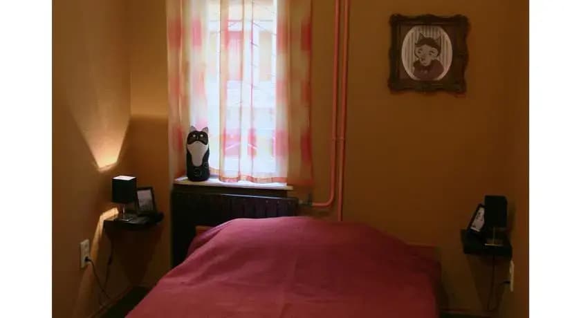 Cat and Co Guesthouse - photo 5