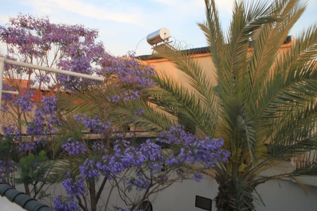 Riad O-ly - photo 23