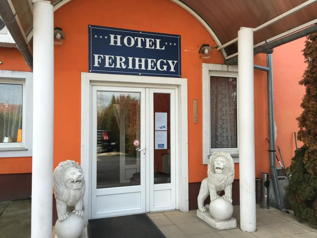 Hotel Ferihegy - photo 1