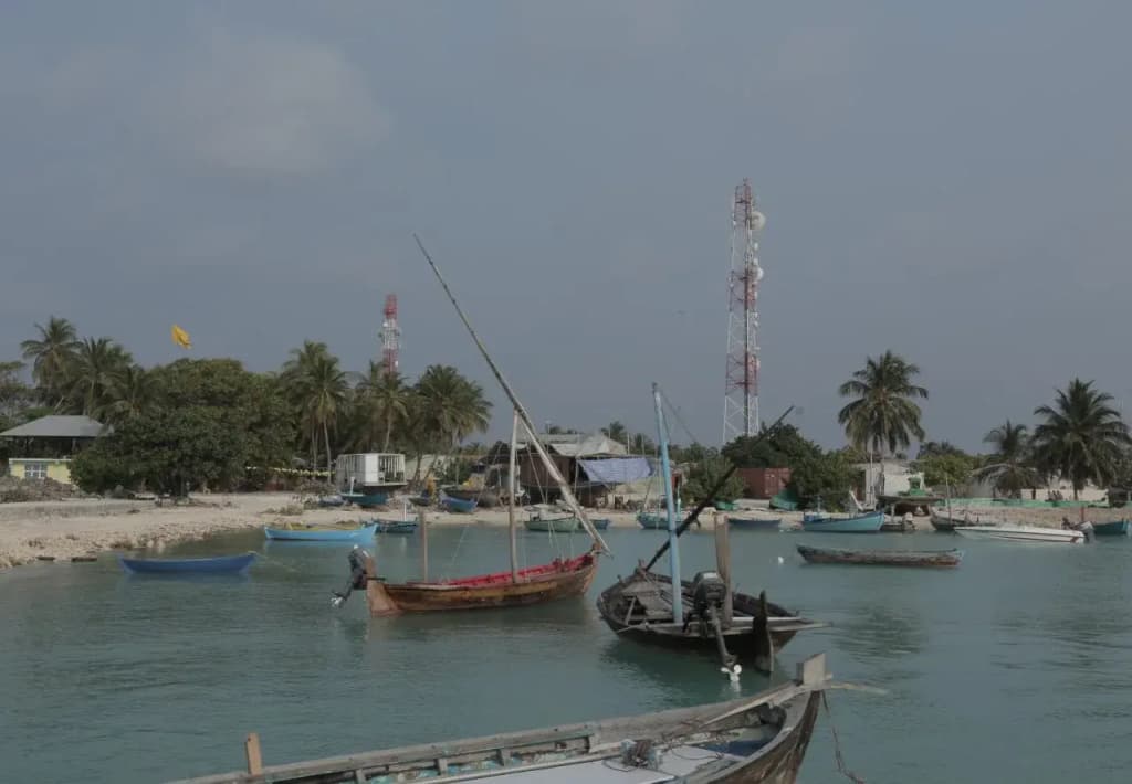 Ungoofaaru Inn - photo 5