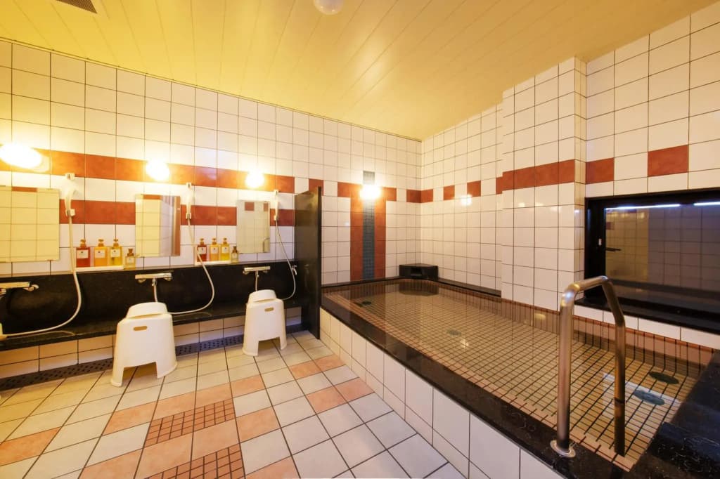 Kyoto Plaza Hotel - photo 9