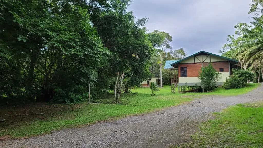 Sepilok B&B - photo 9