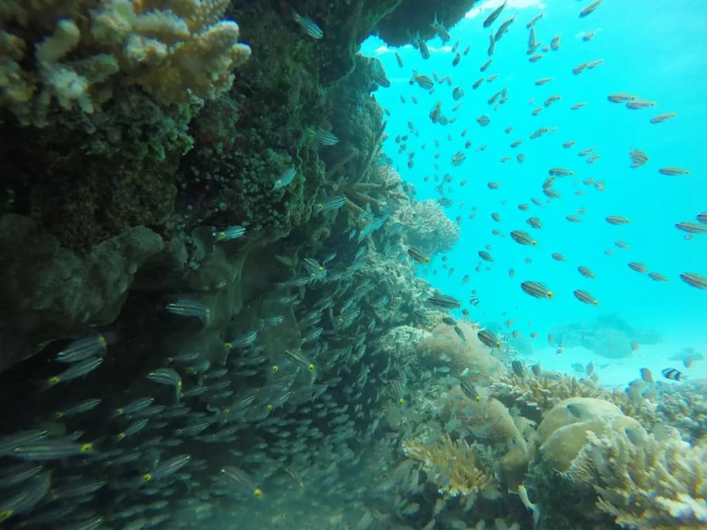 Ras Beach Inn - photo 10