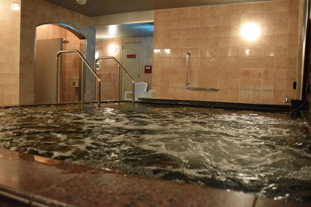 Asakusa Central Hotel - photo 18