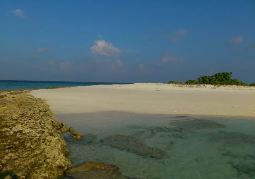 Ungoofaaru Inn - photo 8