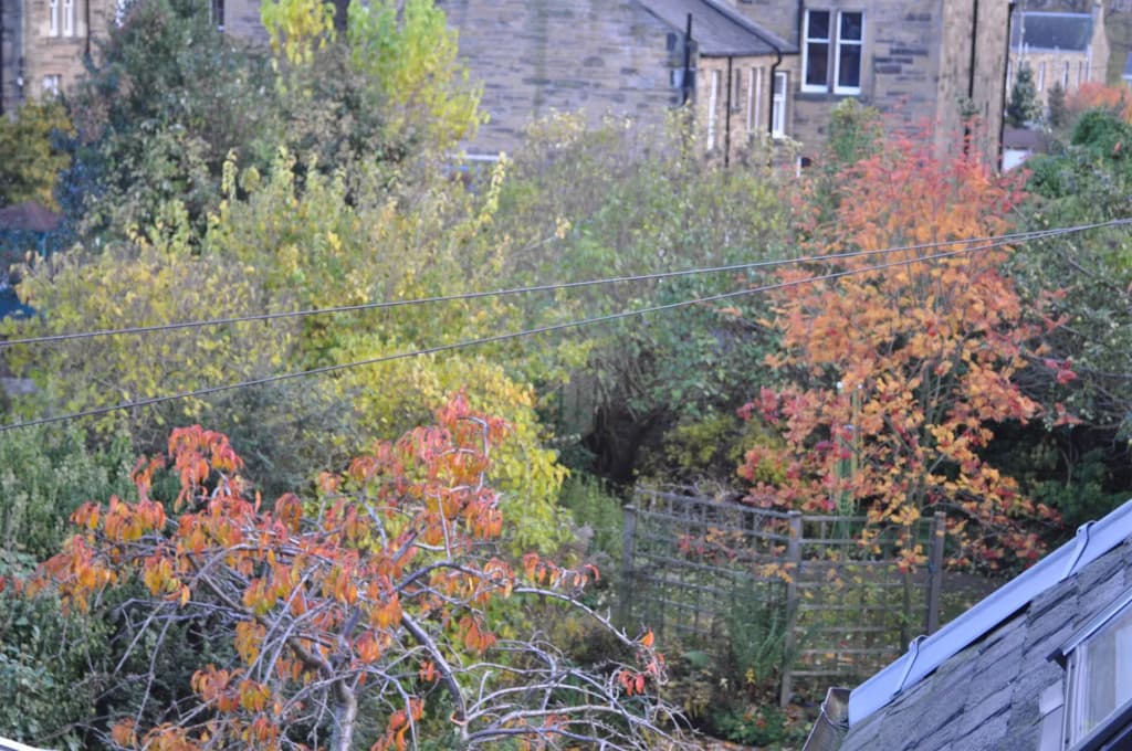Ashdene House - photo 1