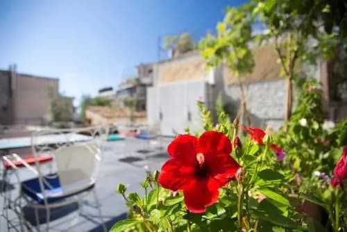 Boutique Athens EP7 House - photo 11
